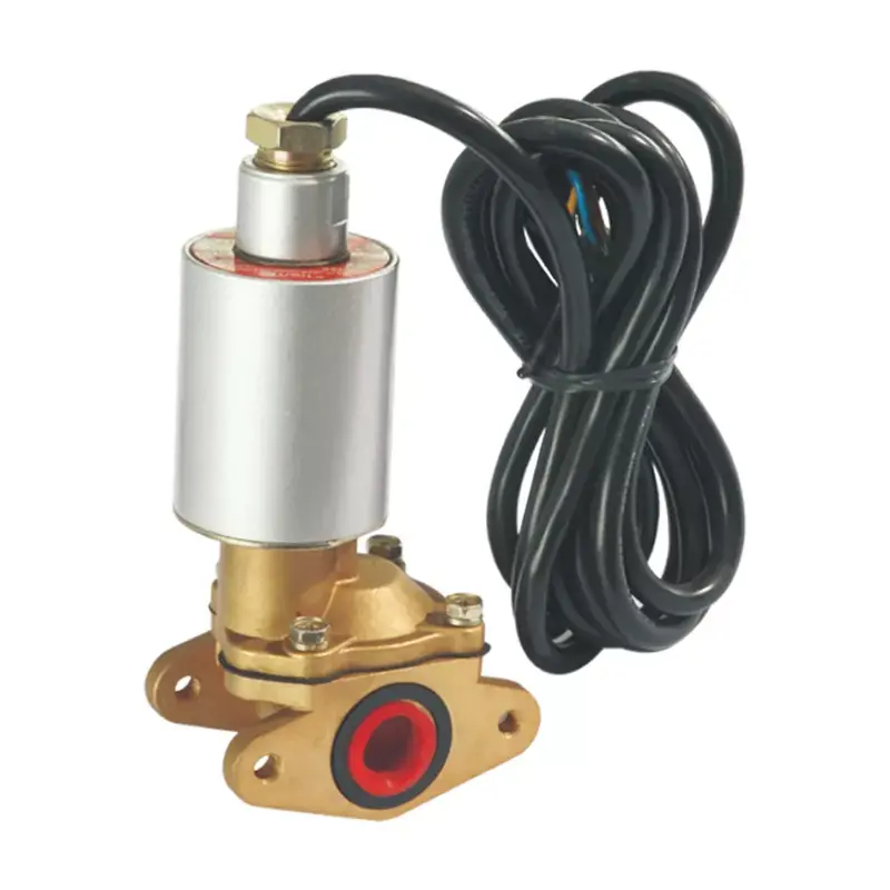 Katup Bahan Bakar Solenoid Katup